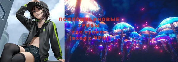 СК Алексин