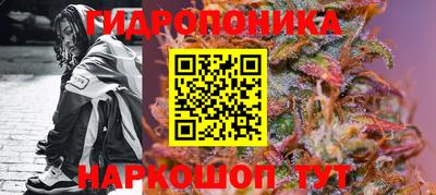 PSILOCYBIN Гусь-Хрустальный