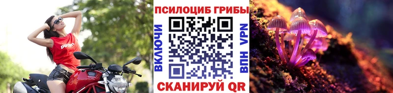 Псилоцибиновые грибы мухоморы  Дзержинский 