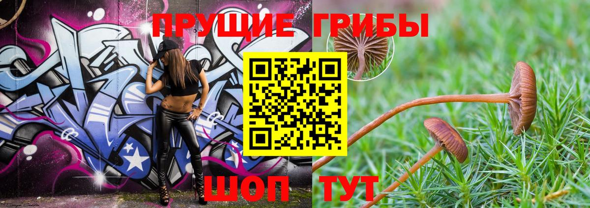 Галлюциногенные грибы Psilocybine cubensis  Вход с VPN  Псилоцибиновые грибы MAGIC MUSHROOMS  Дзержинский 
