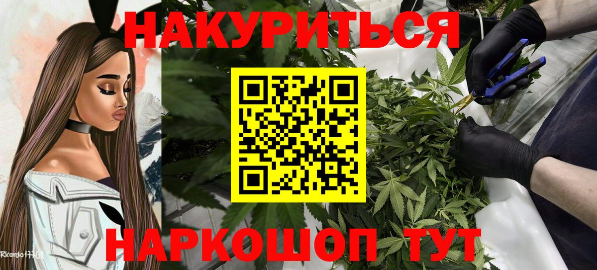 Канабис сатива Дзержинский